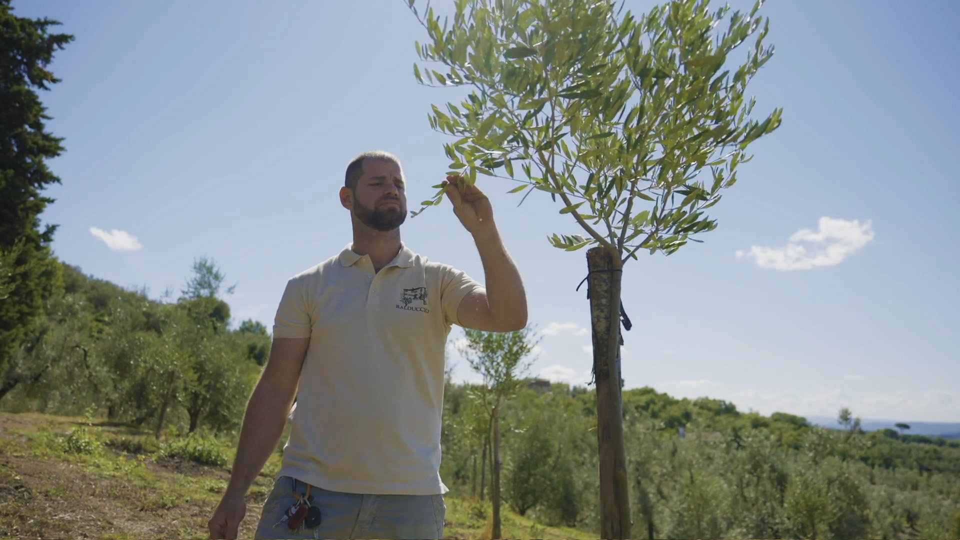 Innovazione e tradizione: gli ingredienti segreti dell’olio di Adriano